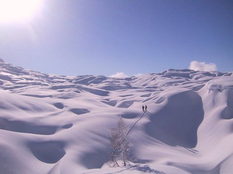 Schneeschuhwandern Schneeschuhwandern