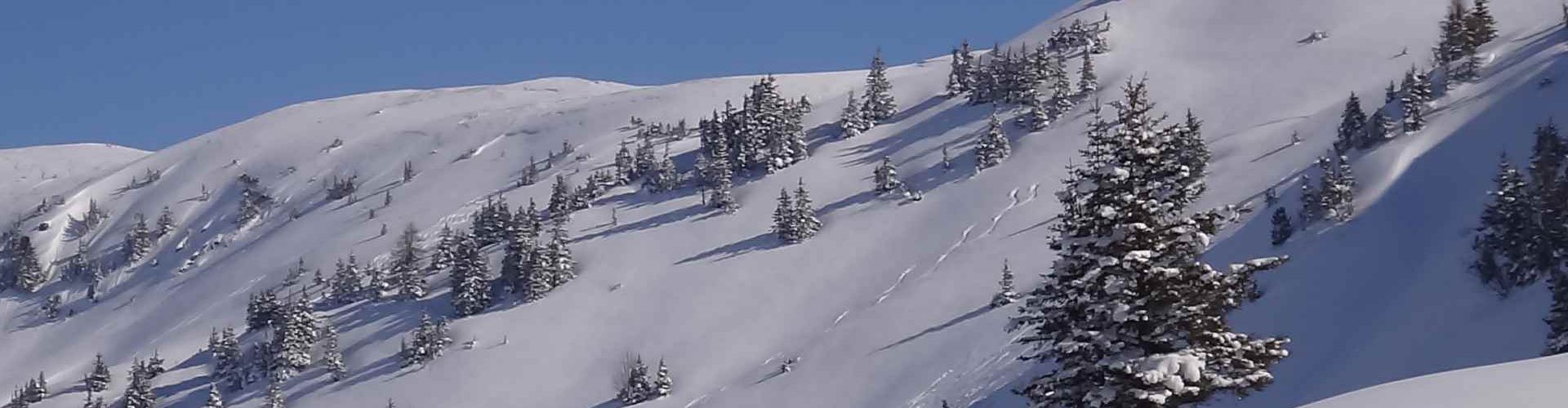 Freeride