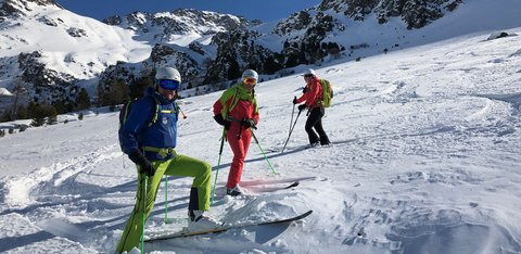 Freeriding Freeriding