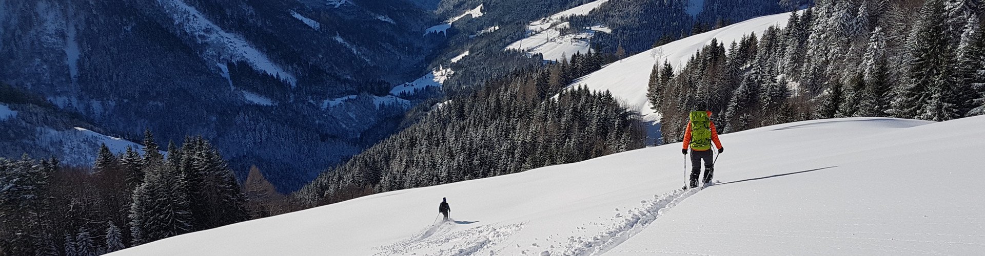 Lawinengemäßes Verhalten