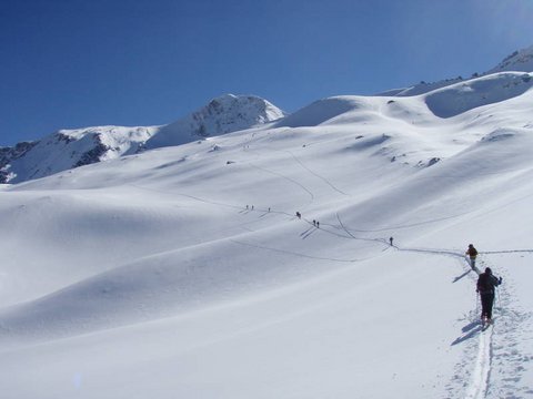 Freeriding Freeriding